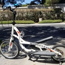 Free-Zike WingFlyer Z600 Outdoor Elliptical Scooter, 6-speed elliptical scooter.