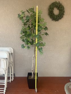 Tall Tree  Silk Plants 