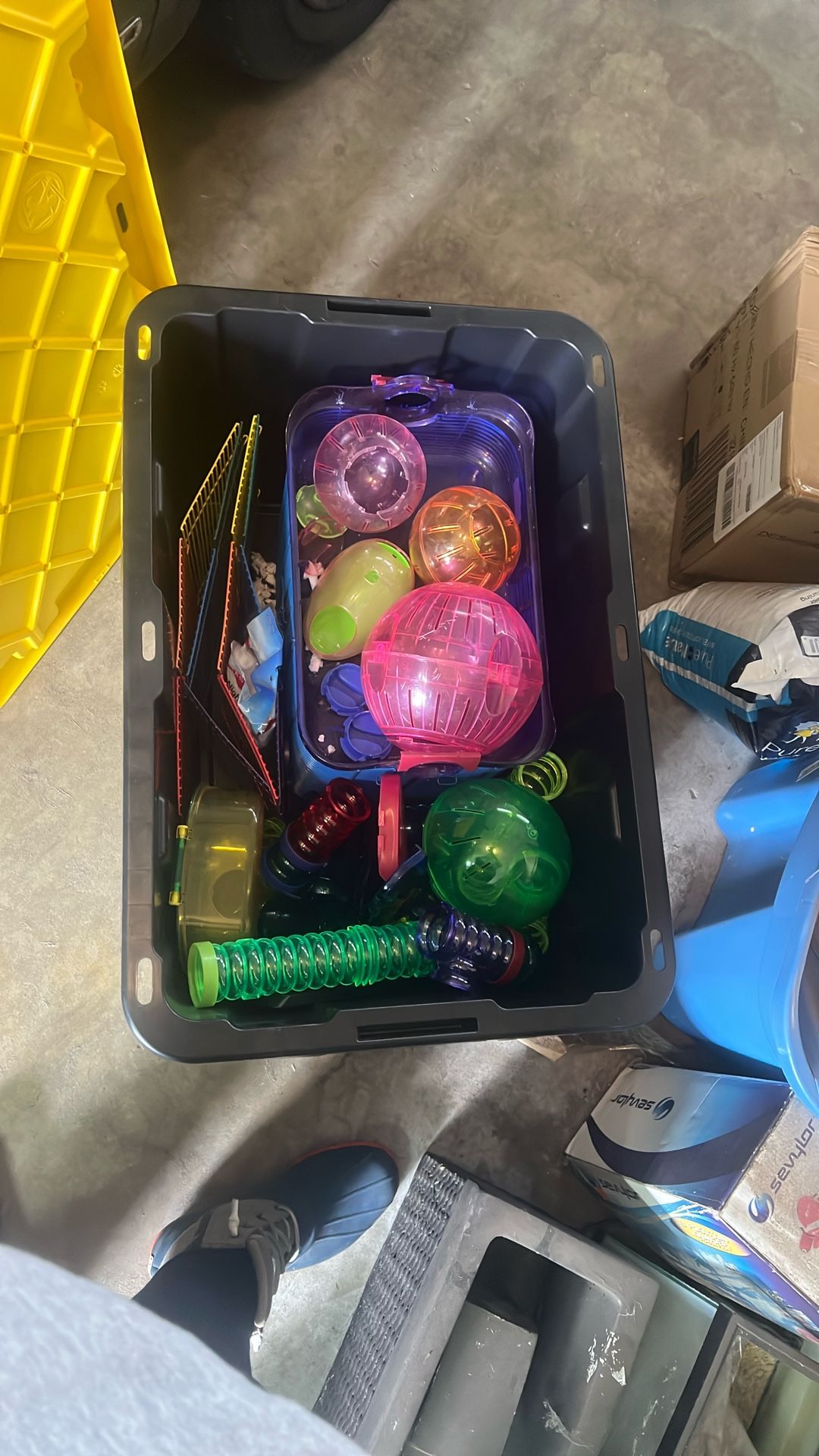 Hamster Houses And Extras