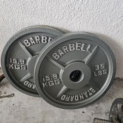 2- 35lb Cast Iron Weight Plates 