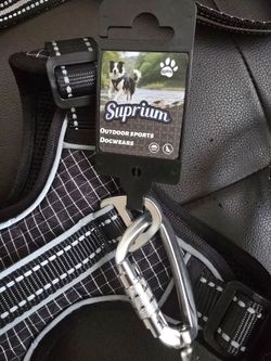 Dog harness Large with leash