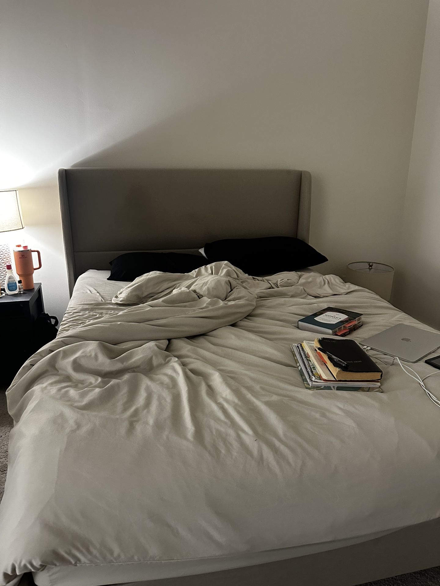 Queen Bed frame $100 