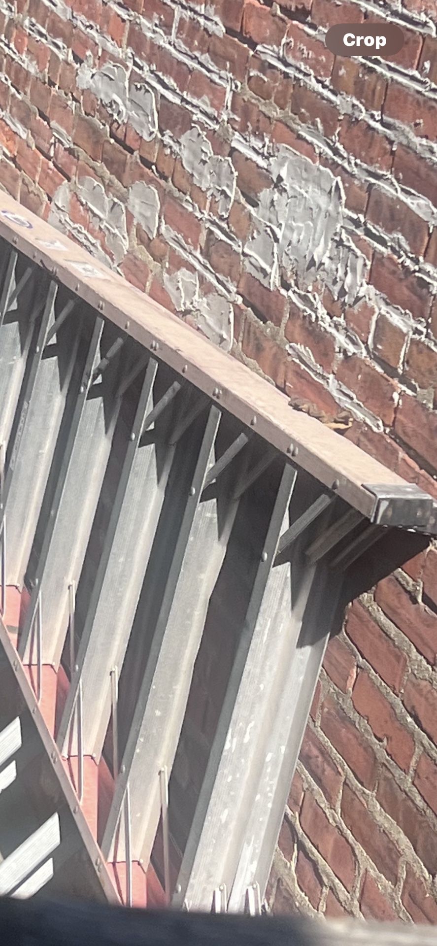 12' A Frane Ladder