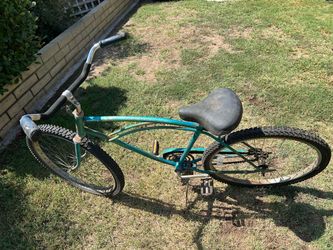 Murray USA Beach Cruiser Bike