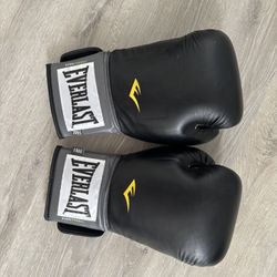 Everlast Boxing Gloves