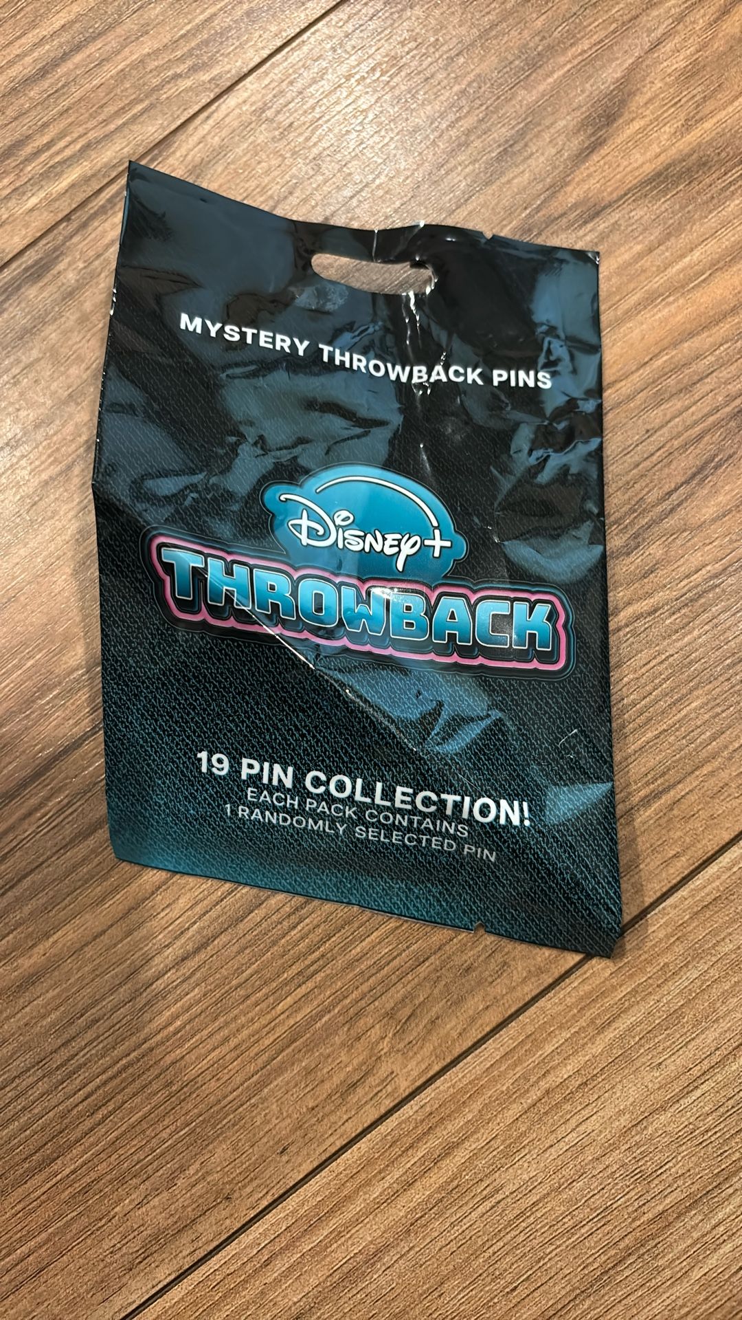 Vidcon 2025 Disney Mystery Throwback Pins