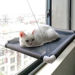 Cat Hammocks for Window up fo 33 lbs