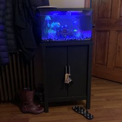 10g Fish Tank With Stand