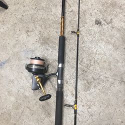 Fishing Rod And Reel 