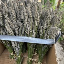 Lavender Bundles For sale 