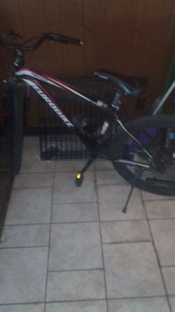 Mountain Bike