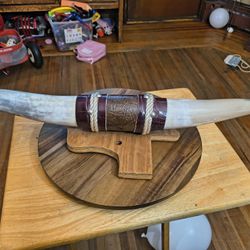 Bull Horns Brought in Texas