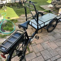 Ferla Bike 3 Wheeler