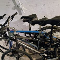 3 Bikes 60$ The Trek And Other One Just Need Tune Up The Nishiki Needs A Chain .