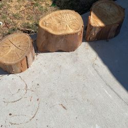 Wood Stumps 