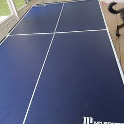 Ping pong Table 