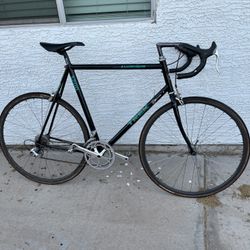 Trek 1200 Road Bike