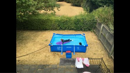 INTEX Above Ground Pool