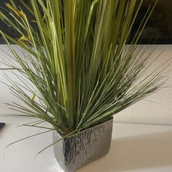 Fake plan decor