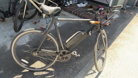 Men's Populo electric bike