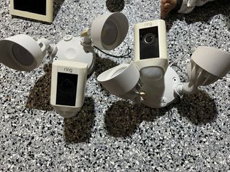 Ring Floodlight wired (1x)