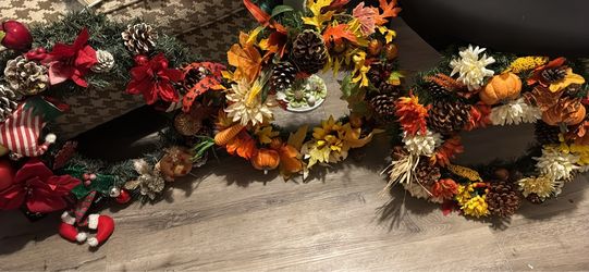 Halloween reef