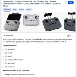 DJI Remote Control (Model: RC231)