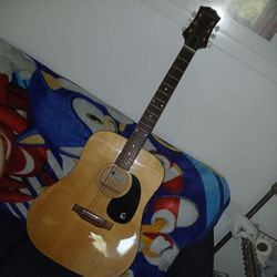 Guitar