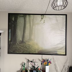 IKEA frame Paint  55 inch X 78.5 inch