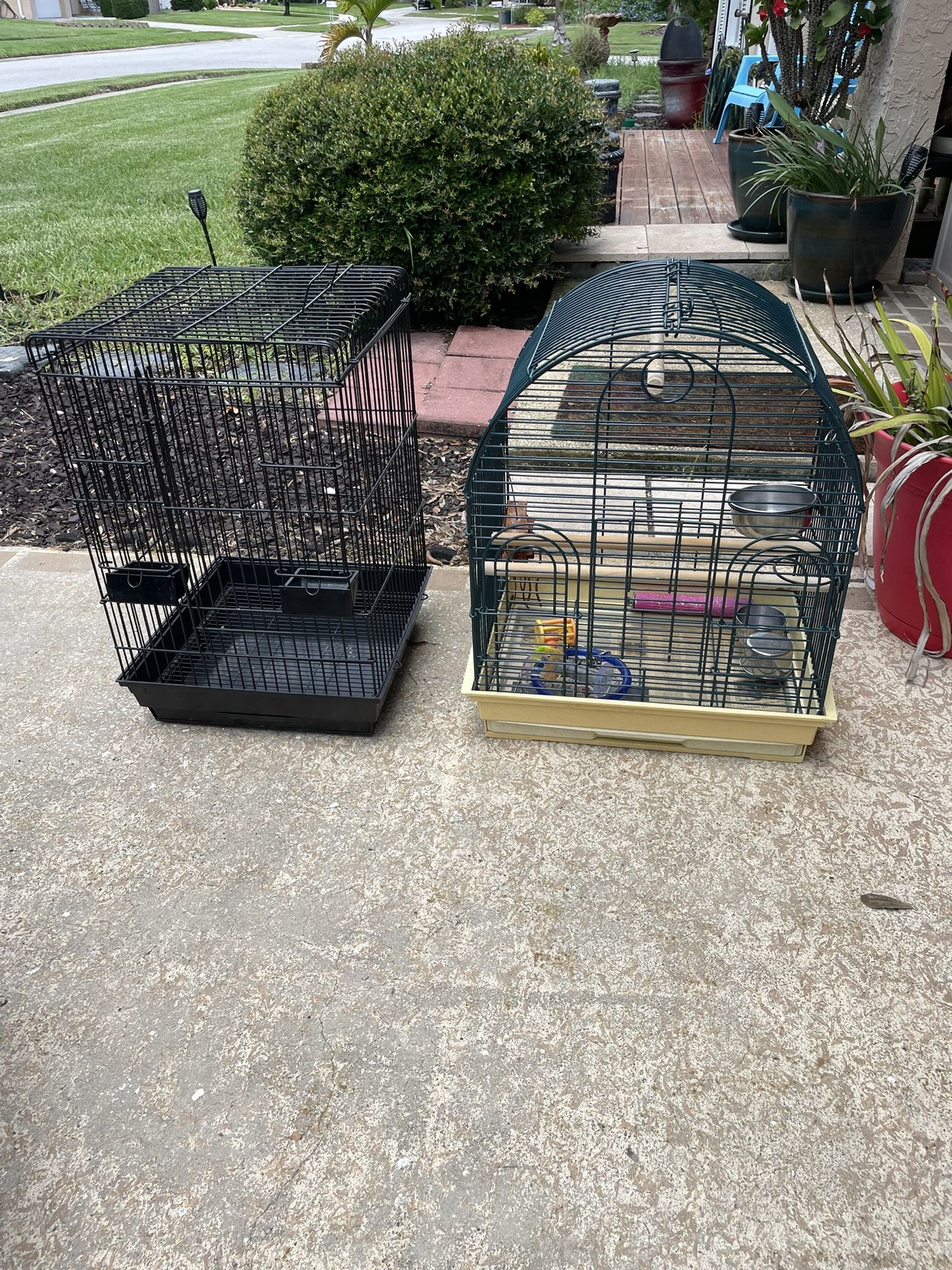 Bird Cage
