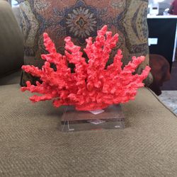 Red Coral Acrylic Stand Sculpture