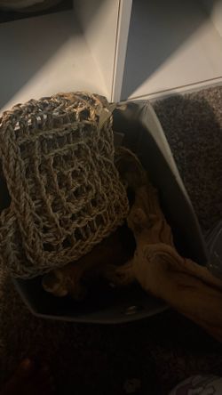 Reptile Accessories
