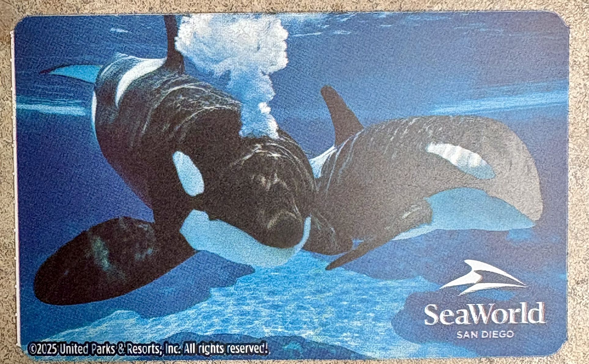 Sea world Any Day Ticket Seaworld 