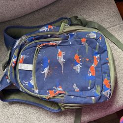 Dinosaur Backpack 