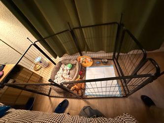 Dog playpen