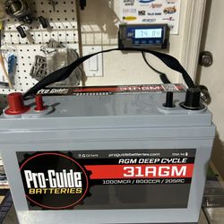 Pro Guide Group 31AGM