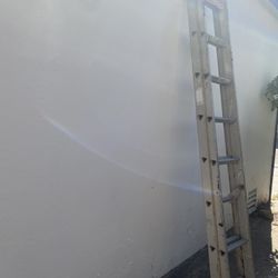 16 Foot extendable Ladder