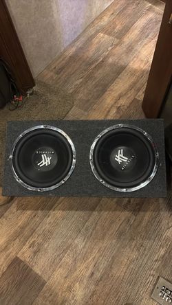 2 12 inch speakers with box