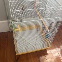 Bird Cage 