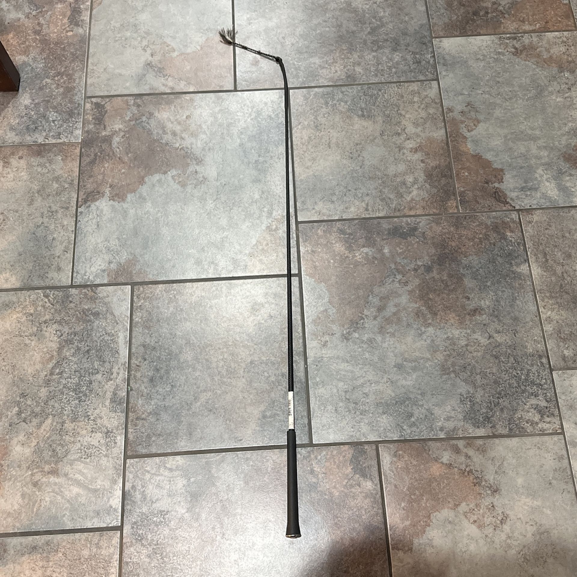 Riding Whip