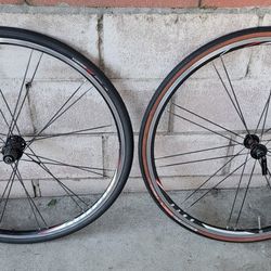 Bontrager Race Roadbike wheels