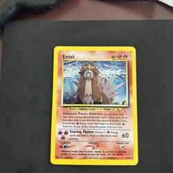 Pokemon Entei NM