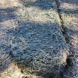 Alfalfa Number 2 Bales