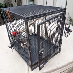 Bird Cage, Parrot, Travel