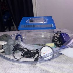 Fish Things Trying To Get Rid Of It All 