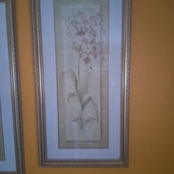 Abstract Flower Pictures