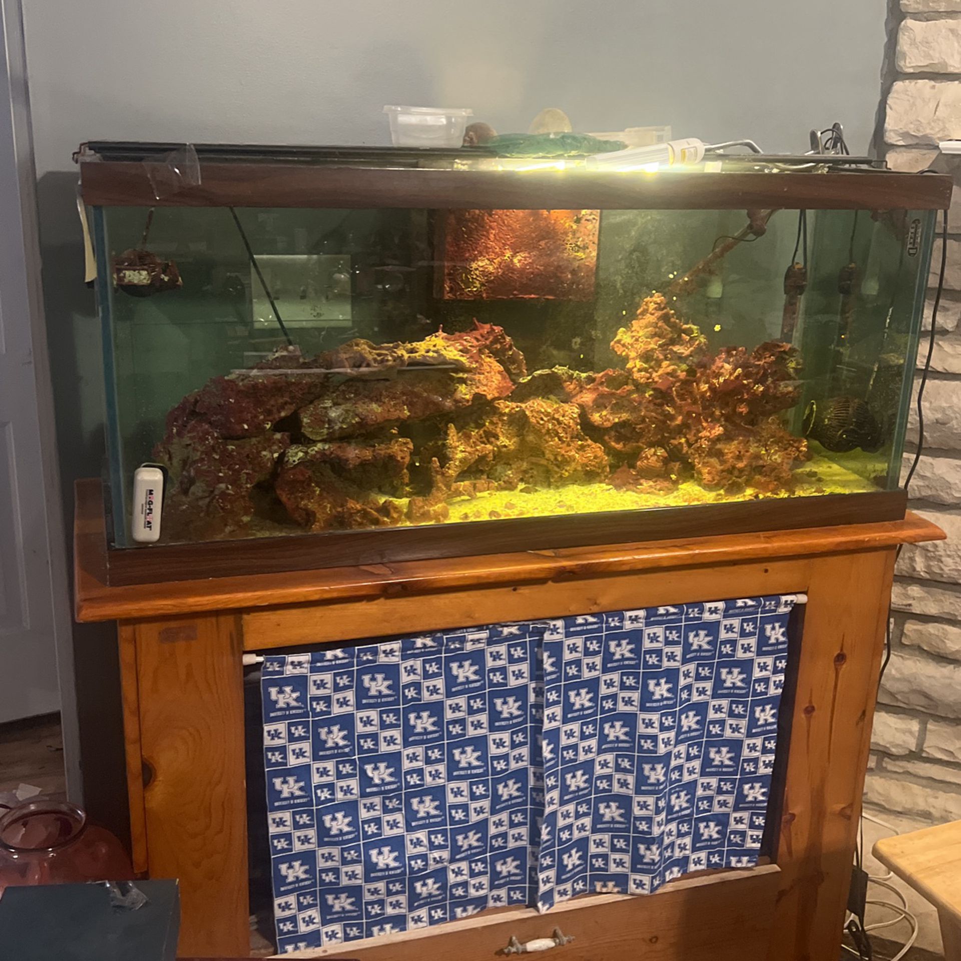 Salt Water Fish Tank
