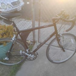 Allez Specialized Road Bike 60.5 Enhanced Butted Aluminum