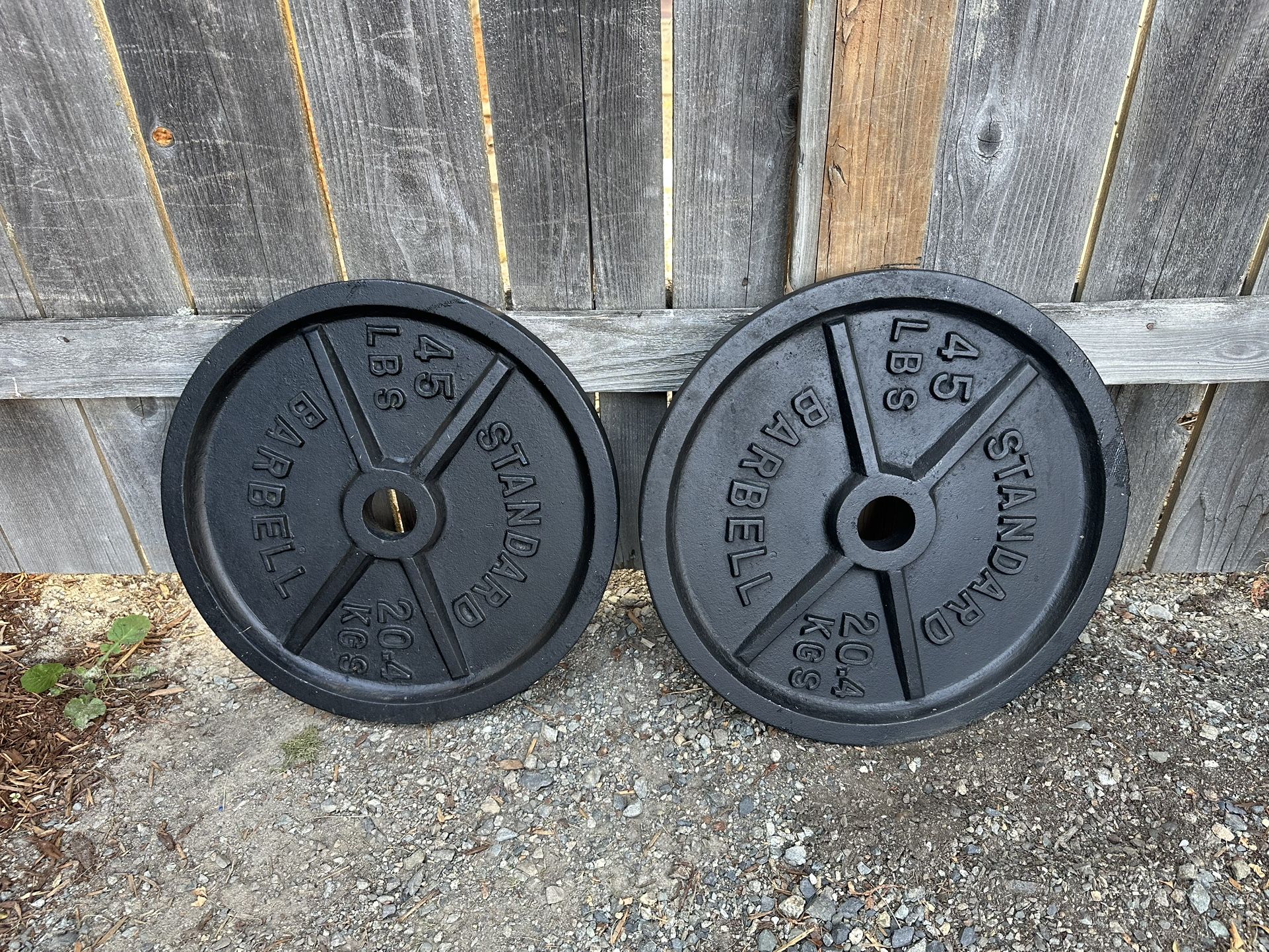 45 Lb Barbell Weights (Olympic 2”) - Pair