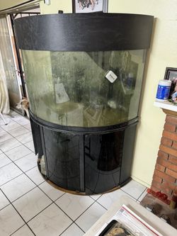 150 Gal Fish tank